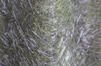 Woolhope Cockshoot fibreglass roof work